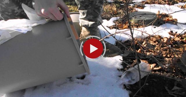 Hawk Snatches Released Mouse