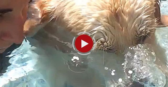 Diesel Blows Bubbles In The Pool On Command!