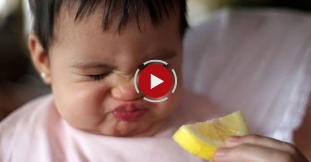 Babies Eating Lemons For The First Time