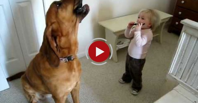 Toddler And Dog Play The Blues