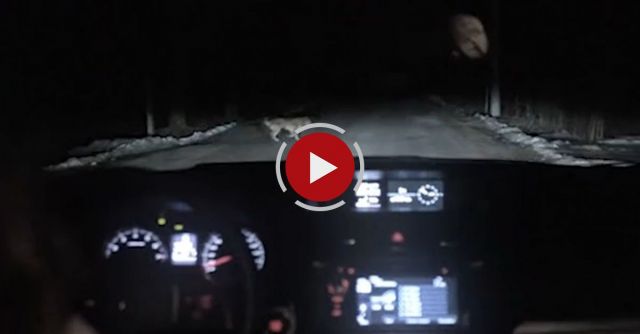 Woman Runs Over A Dog