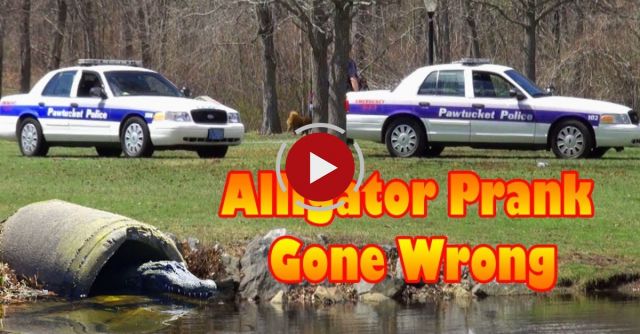 Alligator Prank Gone Wrong