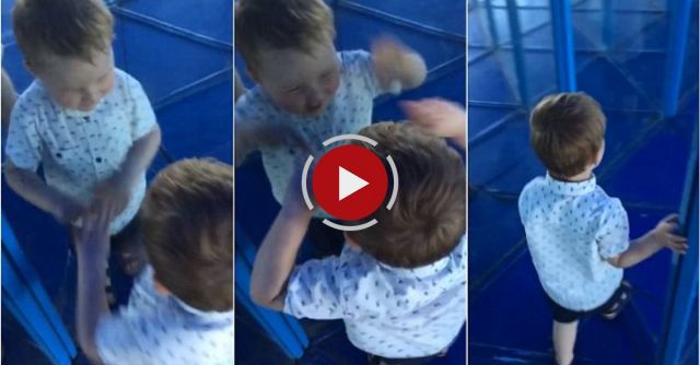 Took My Son To The Mirror Maze He Wanted To Lead