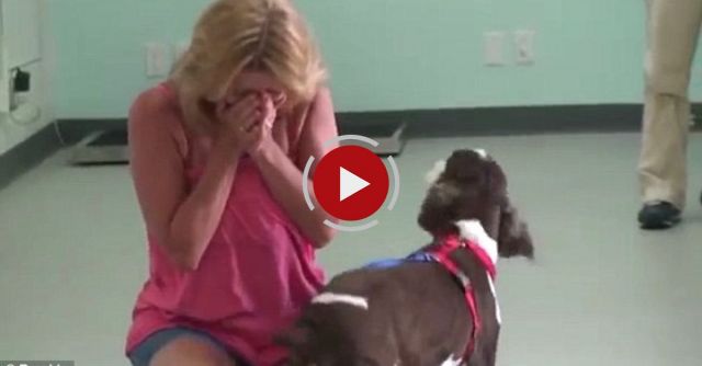 California Animal Rehabilitation - Sammi Walks