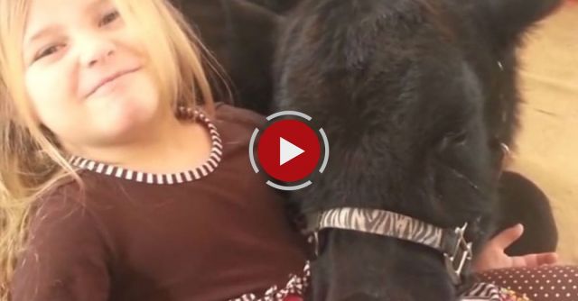 Oops I Let The Cow In...