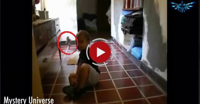 Mother Captures Small Alien Creature On Video