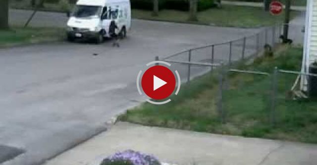 Sometimes Security Cameras Catch A Gem!