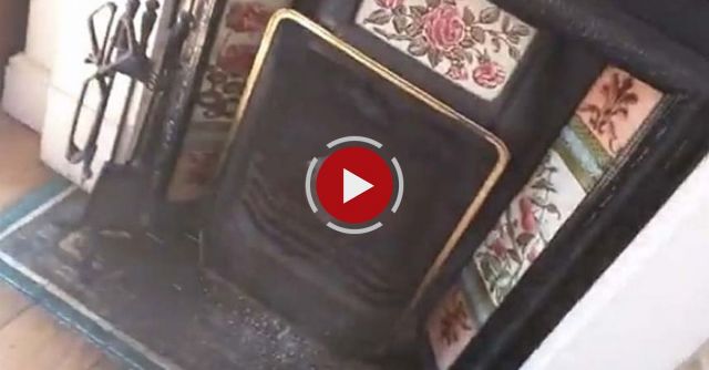 How To Get A Pigeon Out Of The House