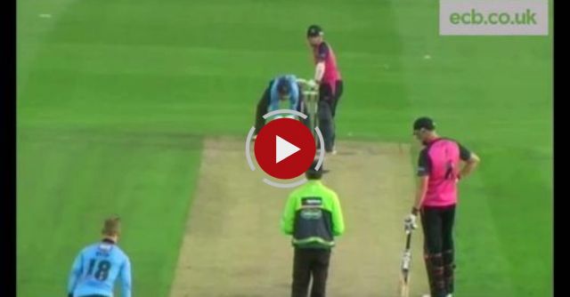 Ryan Higgins Hits A Seagull During Middlesex V Sussex T20