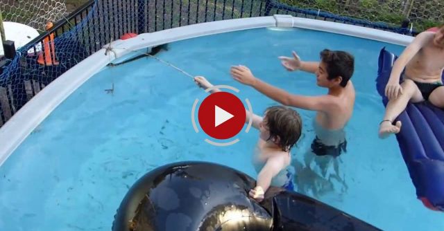 Swimming With A PYTHON SNAKE In The Pool