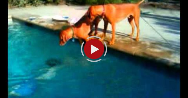 Have You Ever Been This Worried?