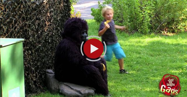 Hungry Gorilla Attack Prank