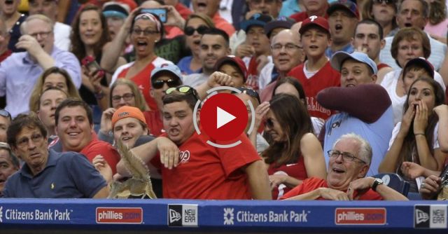 Squirrel At Phillies Game
