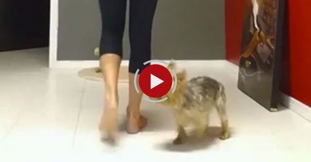 Yoga Practice Gone Wrong