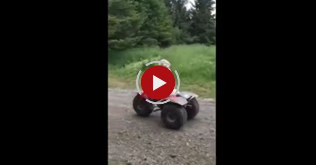 Roscoe The Dog Rides A 3-Wheeler At Lancaster Land