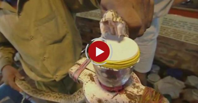 This Is What Snake Venom Does To Blood!