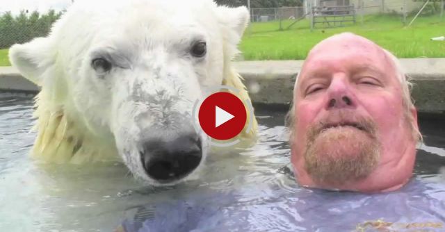 The Only Man In The World Who Can Swim With A Polar Bear: Grizzly Man