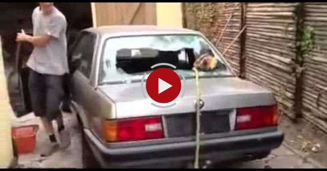 Tree Stump Removal Fail