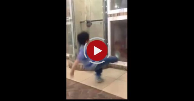 Dog Attacks Child With An Invisible Power