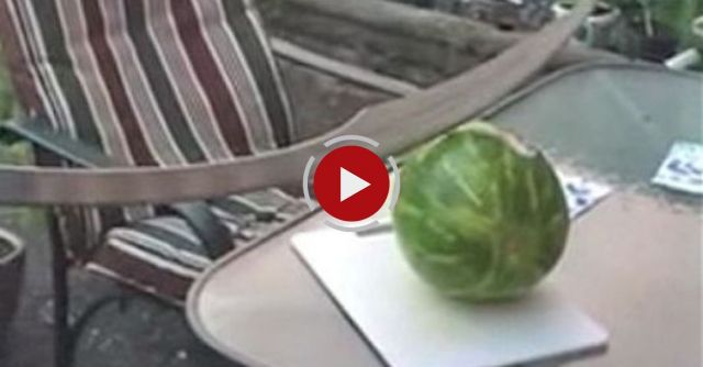 How To Cut A Watermelon With A Sword