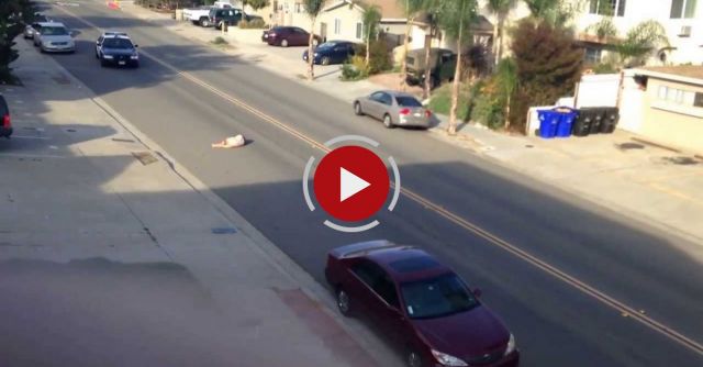 Real Life Grand Theft Auto 