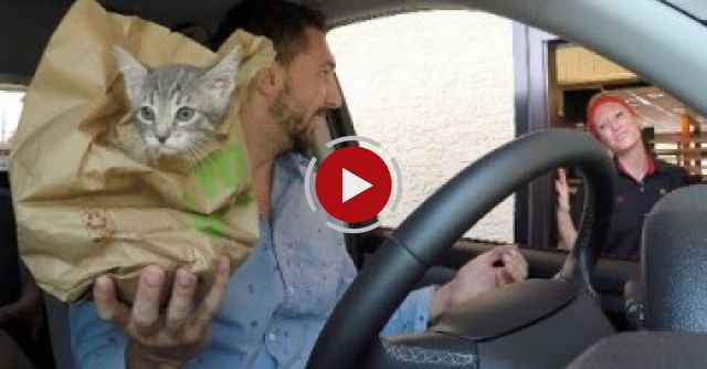 DRIVE THRU PRANKS!!