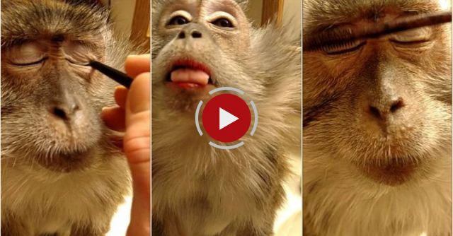 Getting Ready For Mother's Day