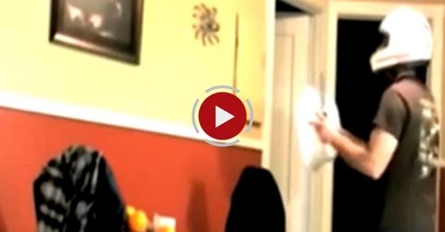 Would You Catch This Huge Spider Like That