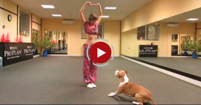 She Raises Her Arms In The Air, Pit Bull Dances