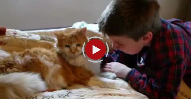 Shocking Reunion Of Boy And His Missing 11 Yr Old Cat