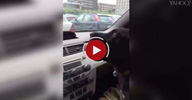 Puppy's First Experience With Air Conditioning