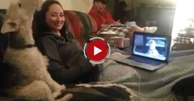 My Dog Can Skype! 