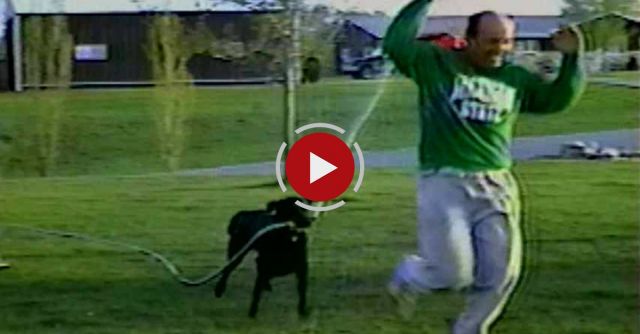 Dog Steals Hose And Sprays Owner