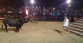 Fail: Why You Shouldn't Provoke A Bull In Spain!