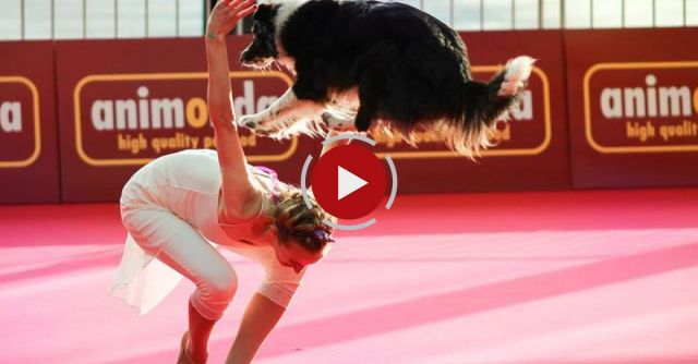 Dogdance Freestyle - Sandra & Lizzy