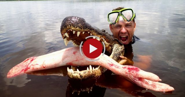 Epic Alligator Attack Prank