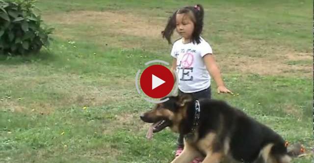 German Shepherd Protecting 4 Year Old Little Girl From Bad Guy