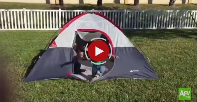 Little Boy Dominoes Topple Out Of The Tent