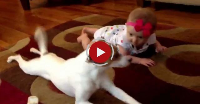 Buddy's Baby Crawling School