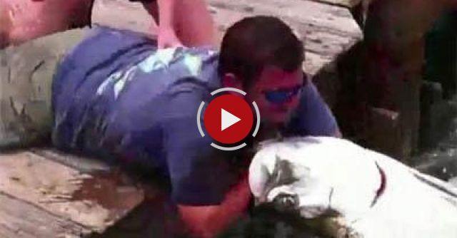 Fish Grabs Man's Arm 