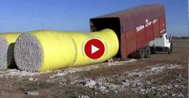 The Best Intelligent Truck Driver Ever!!