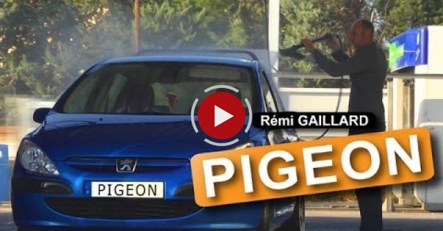 Pigeon (Rémi Gaillard)