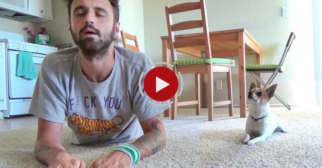 Yoga With Chihuahua Pancho 