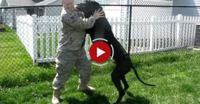 Emmitt Thunderpaws Welcomes Home His Military Dad!