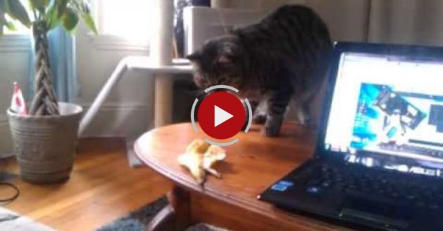 Terrifying Banana Peel!