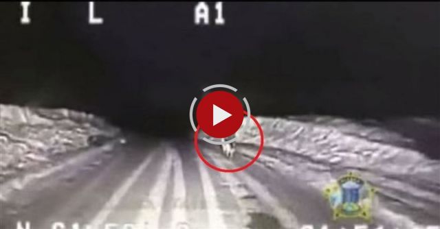 Dog Saves Man By Leading Police Car To Burning House