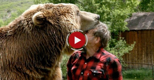 Wrestling A Grizzly Bear In My Garden