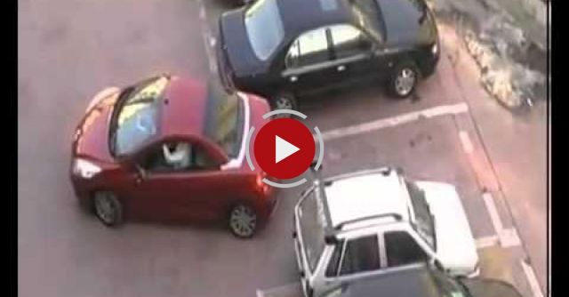 Cars Fight For A Parking Spot