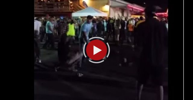 Man Throwing Beer Bottle Is Knocked Out