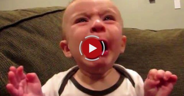 Babies Eating Lemons For The First Time - 2